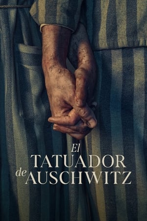 El tatuador de Auschwitz 1x1